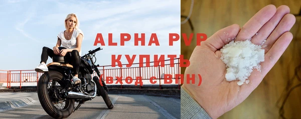 PSILOCYBIN Михайлов