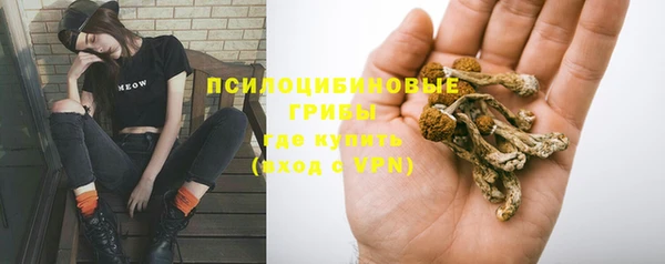 PSILOCYBIN Михайлов