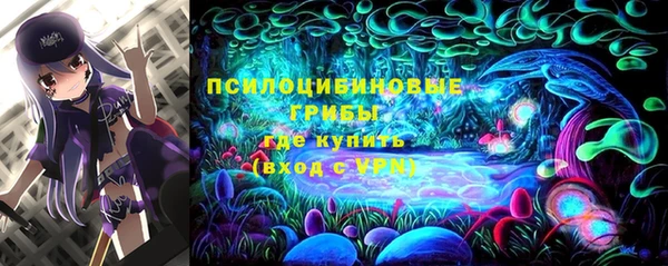 PSILOCYBIN Михайлов