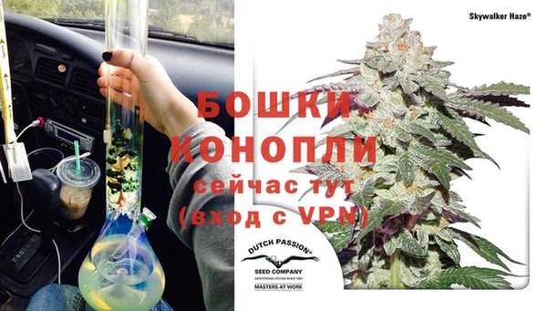 PSILOCYBIN Михайлов