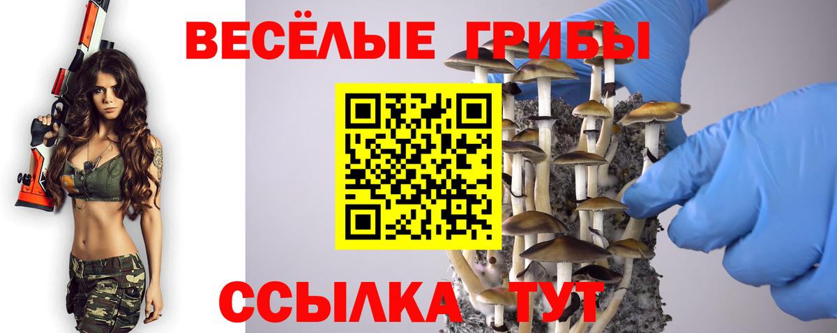 Энгельс  Галлюциногенные грибы GOLDEN TEACHER  Вход с VPN  Псилоцибиновые грибы мицелий 