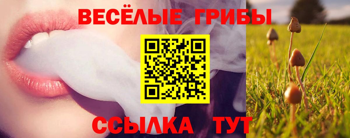 Галлюциногенные грибы мицелий Энгельс